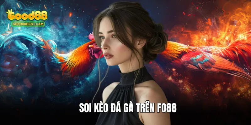 Soi kèo đá gà với hơn 100 trận chọi khắp Đông Nam Á mỗi ngày